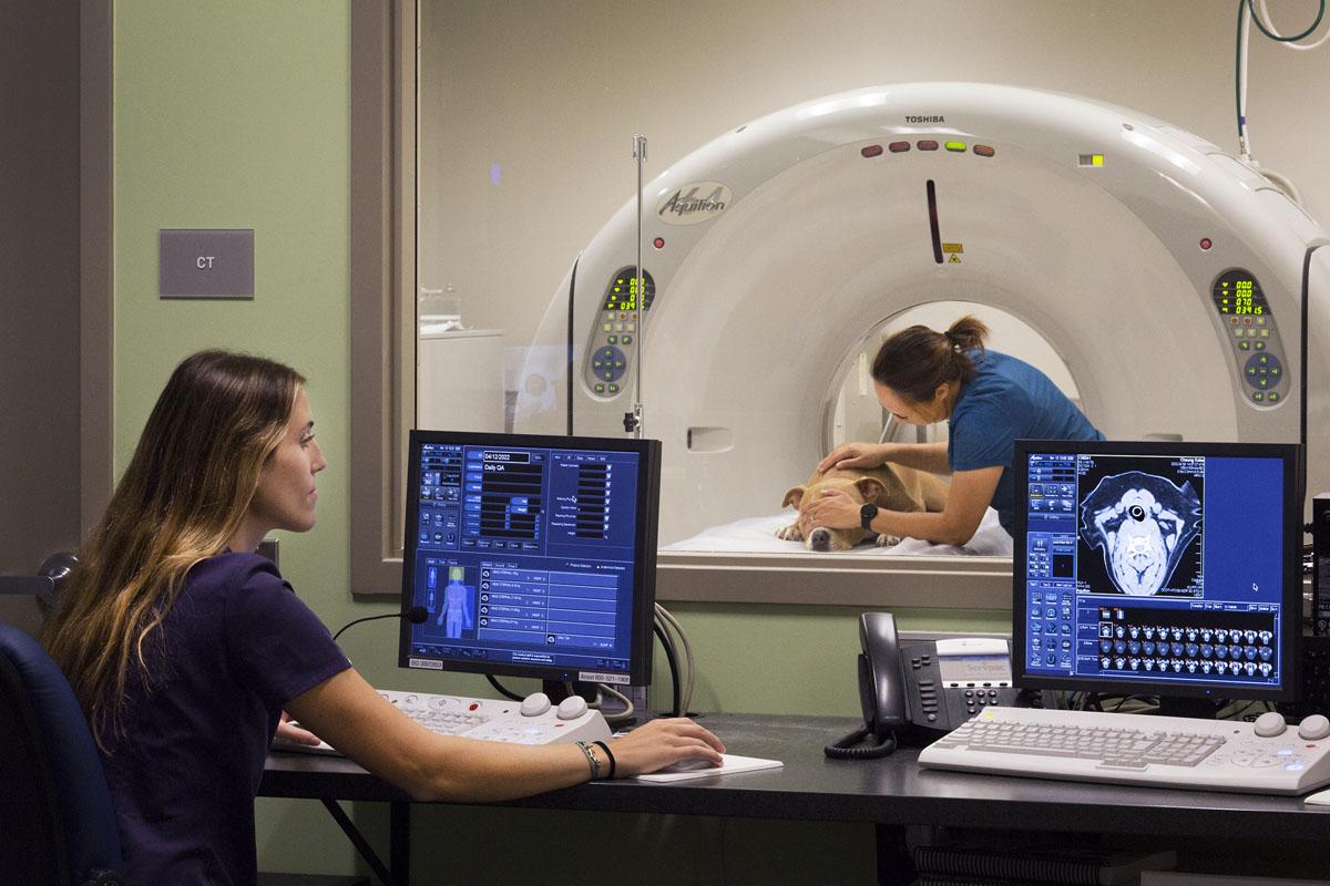 VERC Honolulu Reception area
